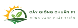 Cây Giống Chuẩn F1